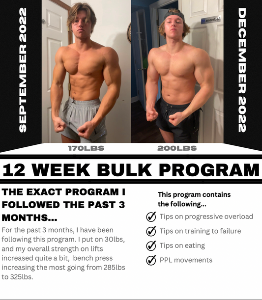 12 Week Bulking Program